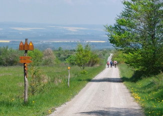 Feldweg mit Pilgernden in der Gerne